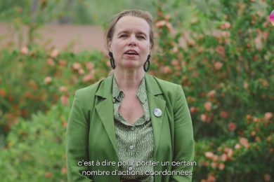 M28 – Terres de culture